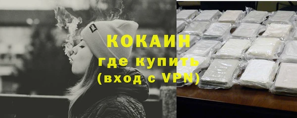 сатива Касимов