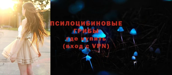 ПСИЛОЦИБИНОВЫЕ ГРИБЫ Карталы