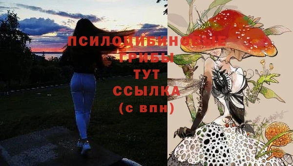 спиды Каменка