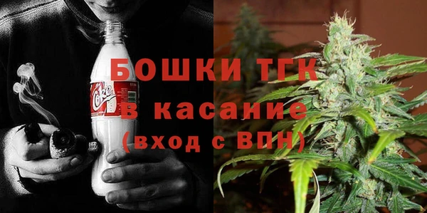 сатива Касимов