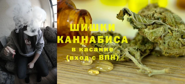 мдпв Кинешма