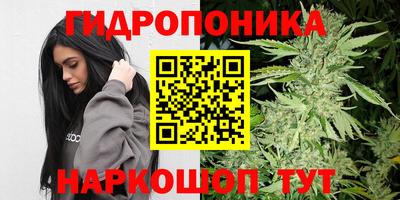 стафф Заволжье