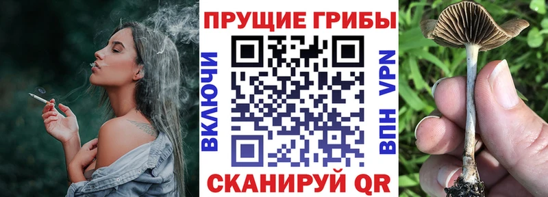 Псилоцибиновые грибы Psilocybe  MEGA рабочий сайт  Крымск  закладки 
