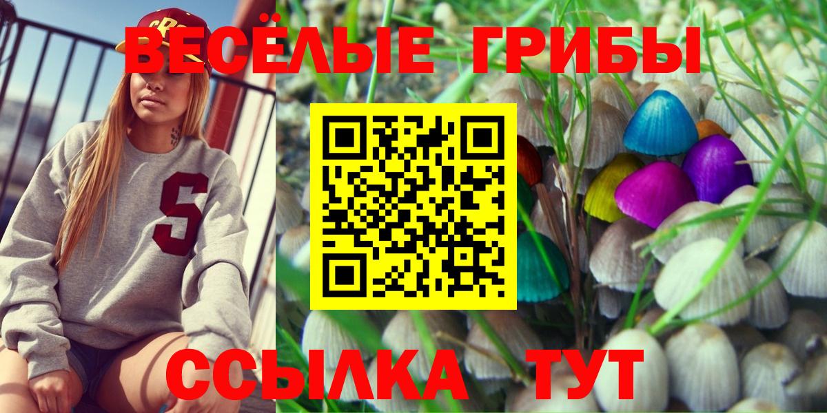 Псилоцибиновые грибы мицелий  Вход с VPN  Крымск 