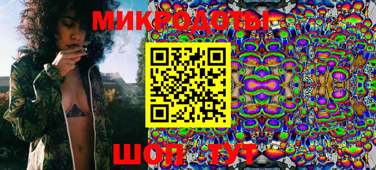 Галлюциногенные грибы Psilocybine cubensis Крымск