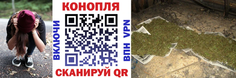 Бошки Шишки OG Kush  где найти   MEGA рабочий сайт  Крымск 